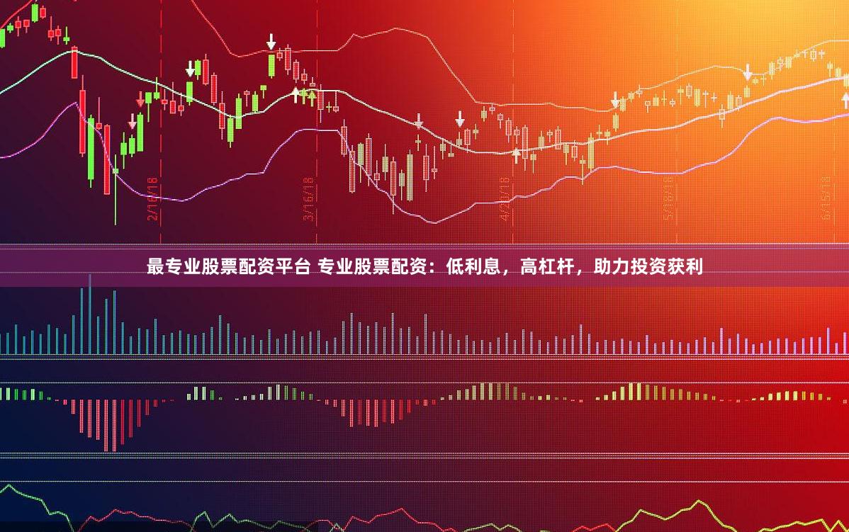最专业股票配资平台 专业股票配资：低利息，高杠杆，助力投资获利