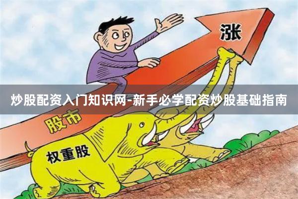 炒股配资入门知识网-新手必学配资炒股基础指南