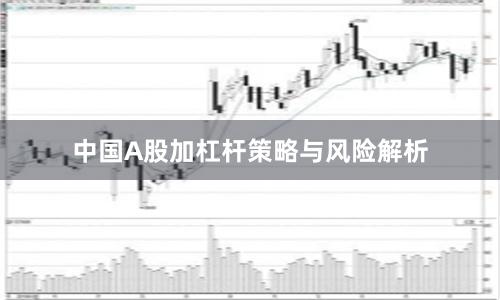 中国A股加杠杆策略与风险解析